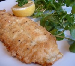 Pan fried fish fillet